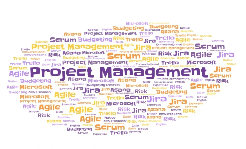 Wordcloud of the best keywords to put in a project manager resume